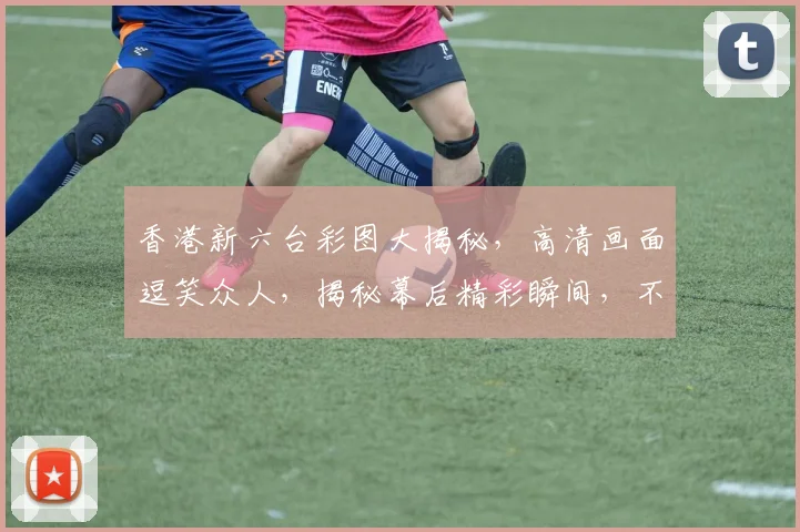 香港新六台彩图大揭秘，高清画面逗笑众人，揭秘幕后精彩瞬间，不容错过