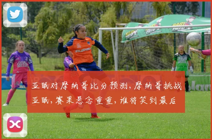 亚眠对摩纳哥比分预测,摩纳哥挑战亚眠,赛果悬念重重,谁将笑到最后