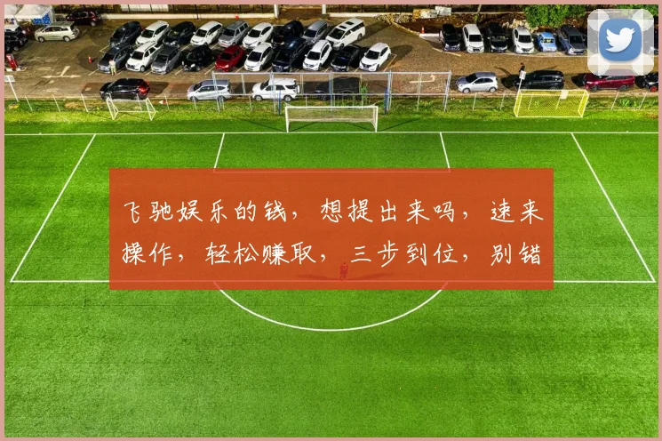 飞驰娱乐的钱，想提出来吗，速来操作，轻松赚取，三步到位，别错过