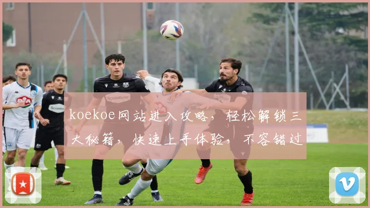 koekoe网站进入攻略，轻松解锁三大秘籍，快速上手体验，不容错过