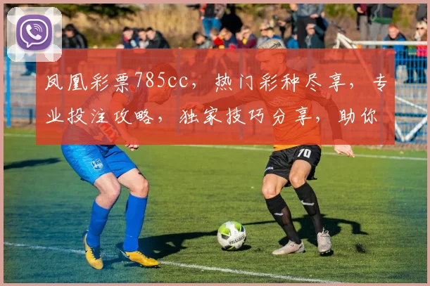 凤凰彩票785cc，热门彩种尽享，专业投注攻略，独家技巧分享，助你轻松中奖