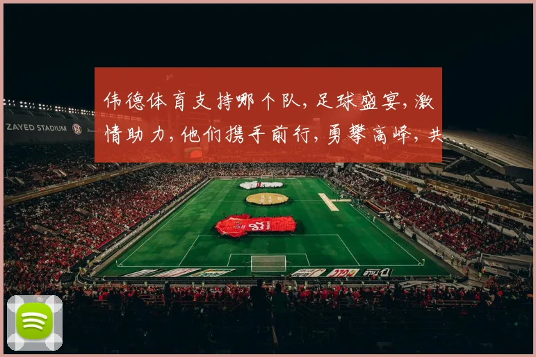 伟德体育支持哪个队,足球盛宴,激情助力,他们携手前行,勇攀高峰,共创辉煌。