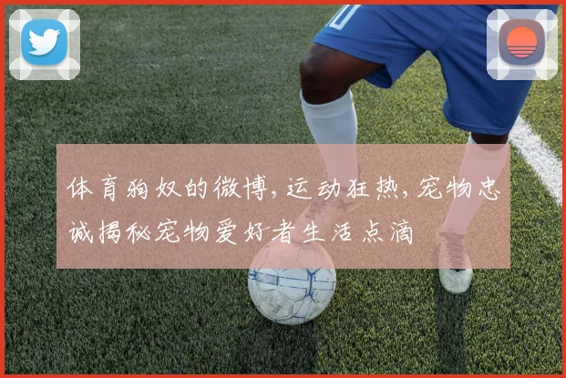体育狗奴的微博,运动狂热,宠物忠诚揭秘宠物爱好者生活点滴