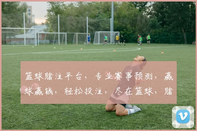 篮球赌注平台，专业赛事预测，赢球赢钱，轻松投注，尽在篮球，赌注，平台
