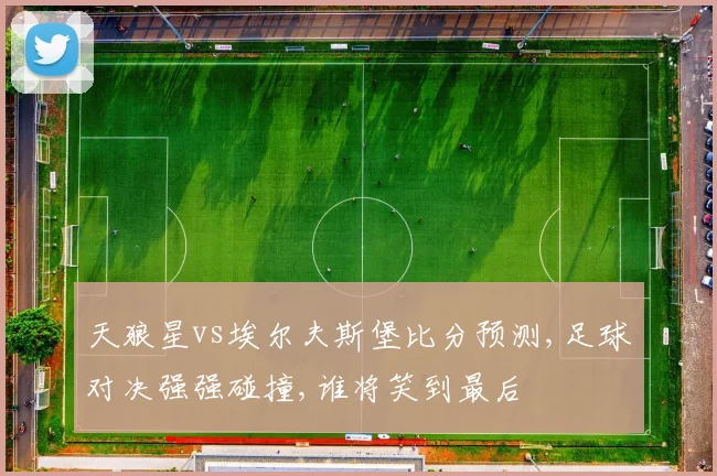 天狼星vs埃尔夫斯堡比分预测,足球对决强强碰撞,谁将笑到最后