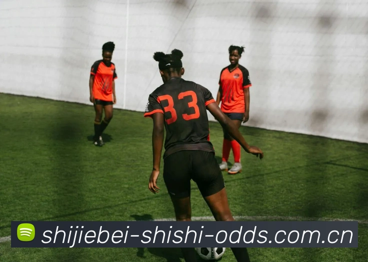 登录器